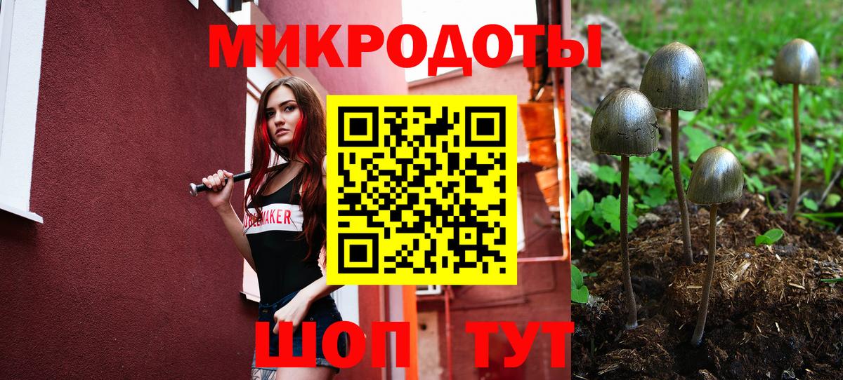 Иваново  купить закладку  Вход с VPN  Галлюциногенные грибы Magic Shrooms  Галлюциногенные грибы мицелий 