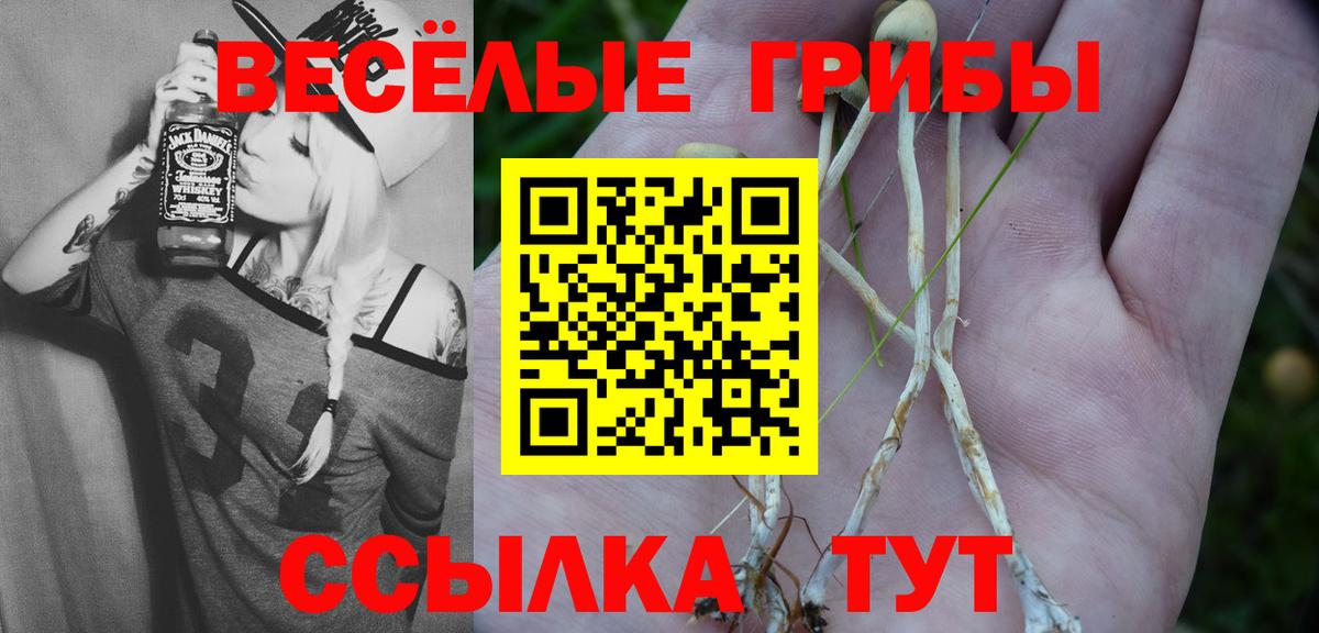 Псилоцибиновые грибы Magic Shrooms Иваново